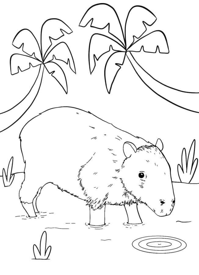 Free printable Capybara coloring page #207586 from Animals collection