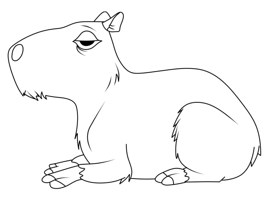 Free printable Capybara coloring page #207587 from Animals collection