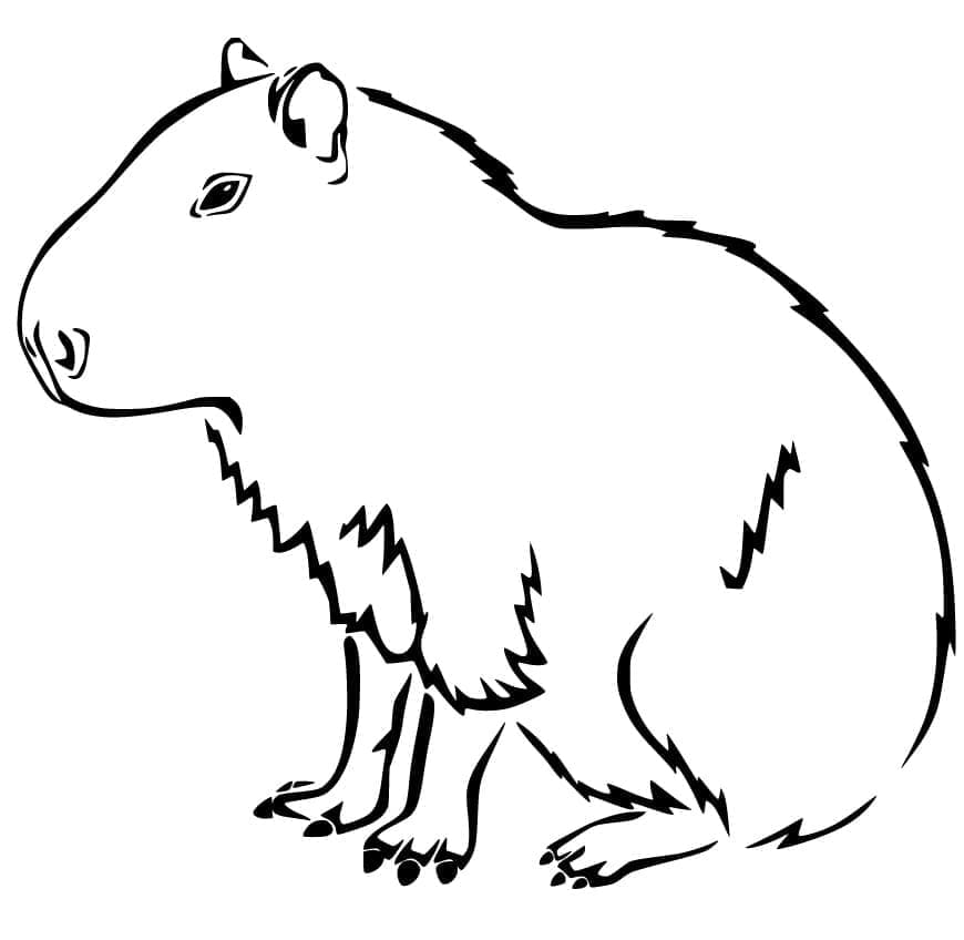 Free printable Capybara coloring page #207588 from Animals collection