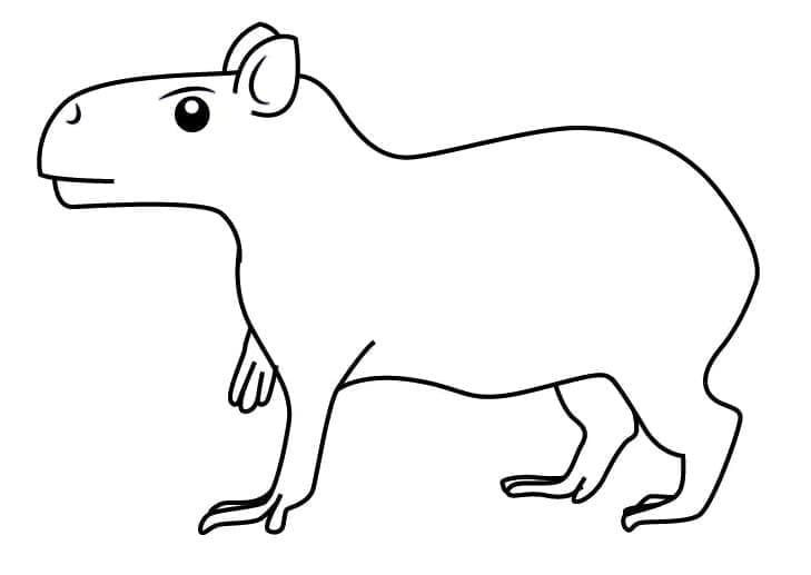 Free printable Capybara coloring page #207592 from Animals collection
