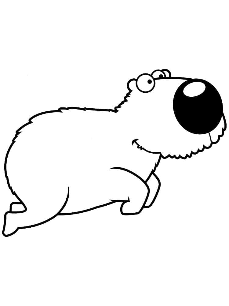 Free printable Capybara coloring page #207594 from Animals collection