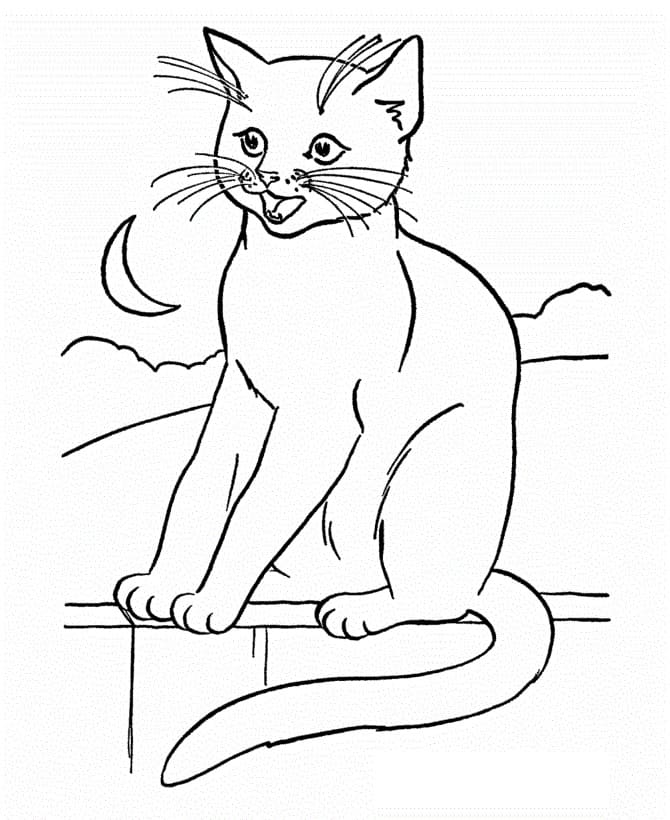 Free printable Cat coloring page #174954 from Animals collection