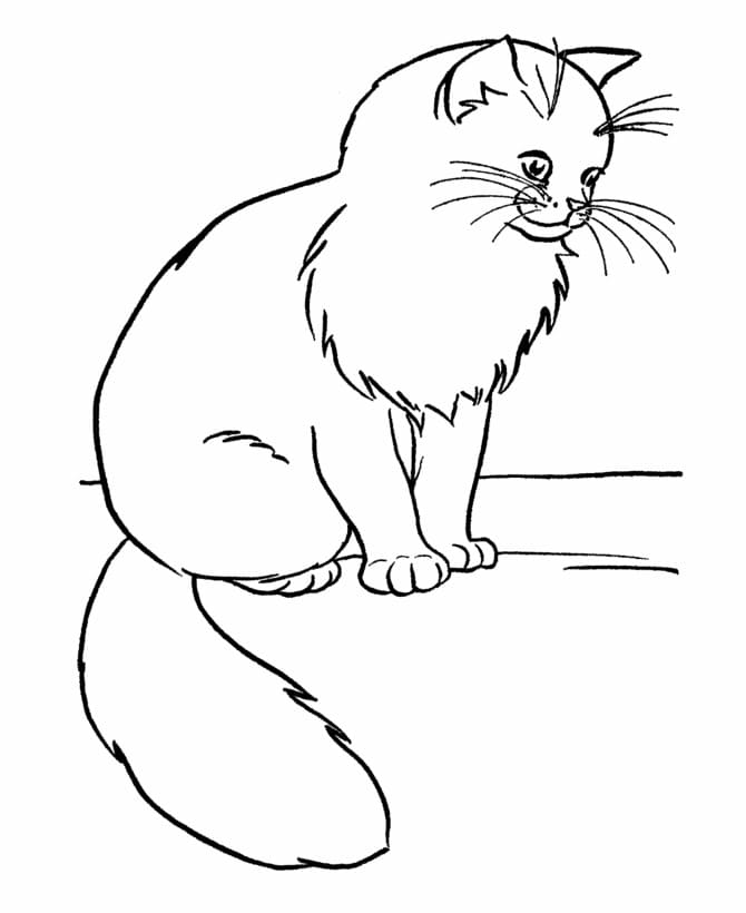 Free printable Cat coloring page #174955 from Animals collection