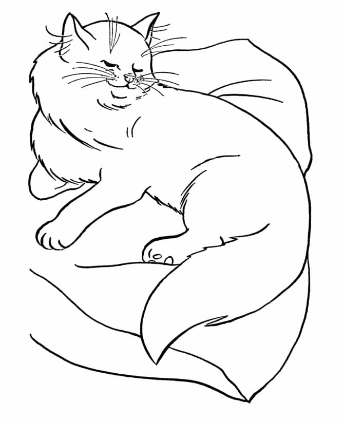Free printable Cat coloring page #174956 from Animals collection