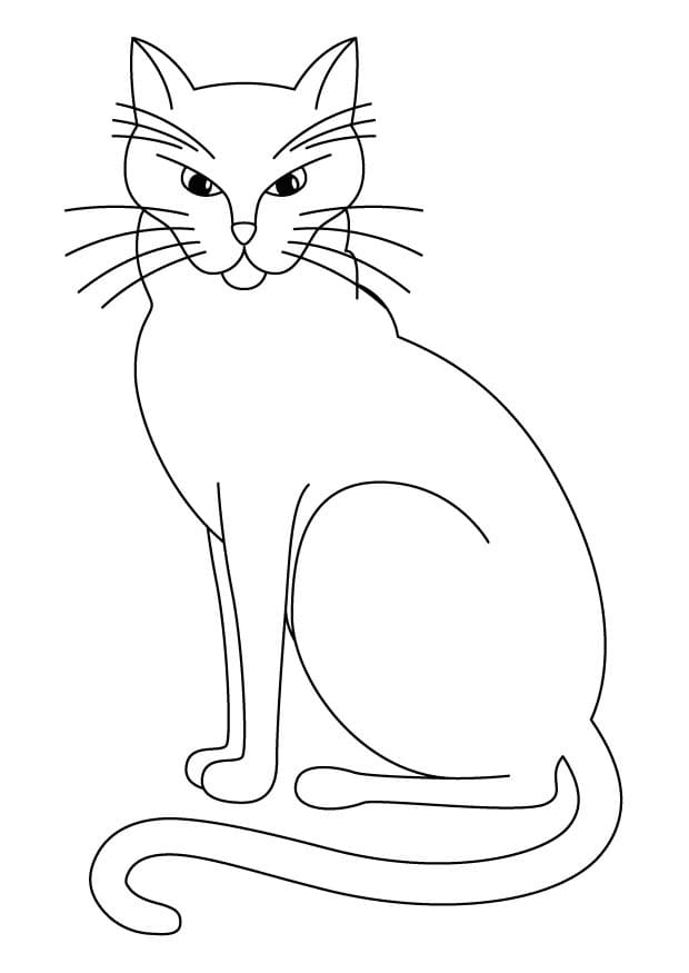 Free printable Cat coloring page #174961 from Animals collection