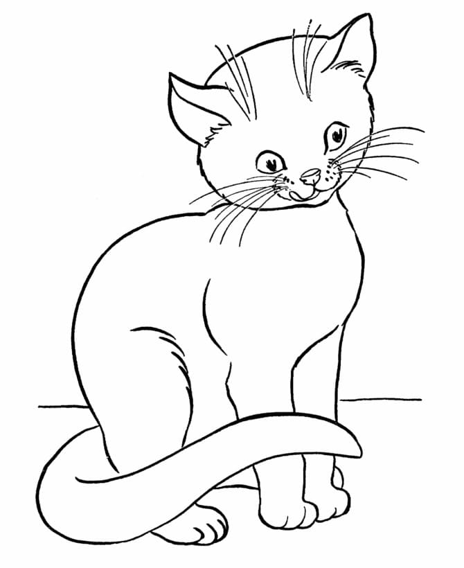 Free printable Cat coloring page #174962 from Animals collection