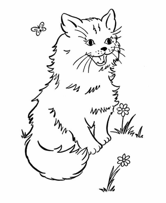Free printable Cat coloring page #174963 from Animals collection