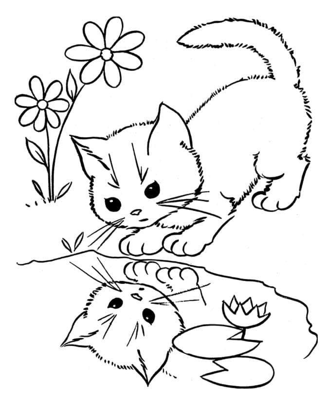 Free printable Cat coloring page #174984 from Animals collection