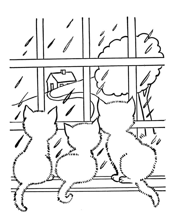 Free printable Cat coloring page #174986 from Animals collection
