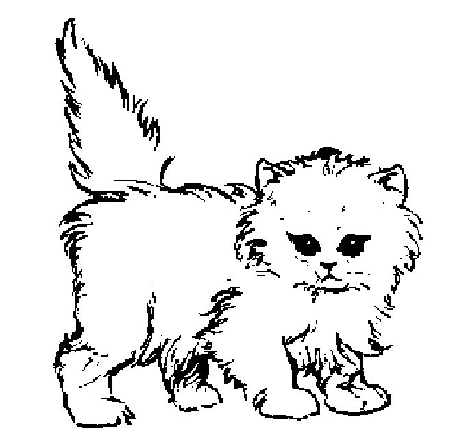 Coloring page: Cat (Animals) #1770 - Free Printable Coloring Pages