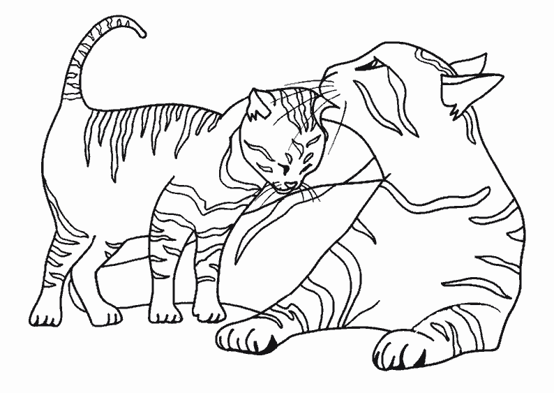 Coloring page: Cat (Animals) #1776 - Free Printable Coloring Pages