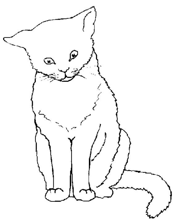 Coloring page: Cat (Animals) #1783 - Free Printable Coloring Pages
