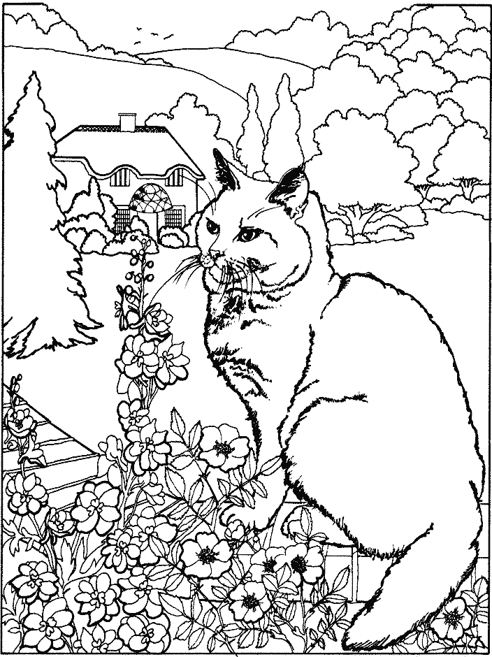 Coloring page: Cat (Animals) #1790 - Printable coloring pages