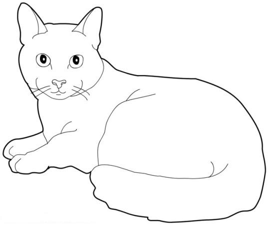 Coloring page: Cat (Animals) #1793 - Free Printable Coloring Pages