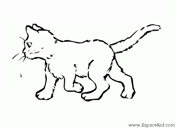 Coloring page: Cat (Animals) #1812 - Free Printable Coloring Pages