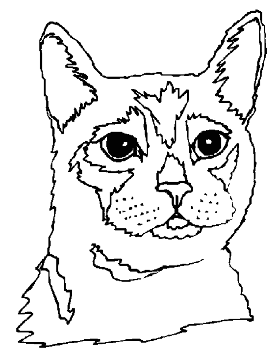 Coloring page: Cat (Animals) #1856 - Free Printable Coloring Pages