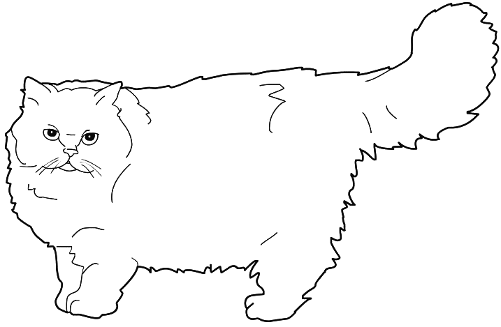 Coloring page: Cat (Animals) #1858 - Free Printable Coloring Pages