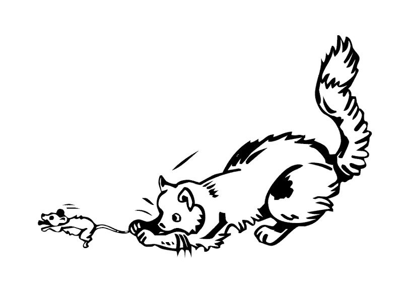 73 Cat Rat Coloring Pages  Latest Free
