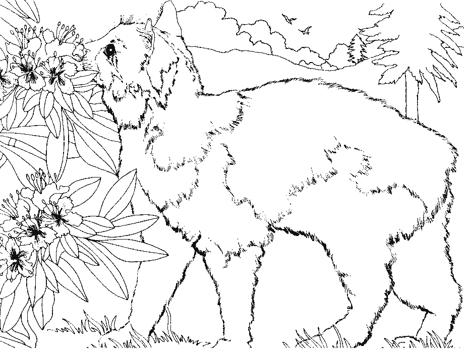 Coloring page: Cat (Animals) #1894 - Printable coloring pages