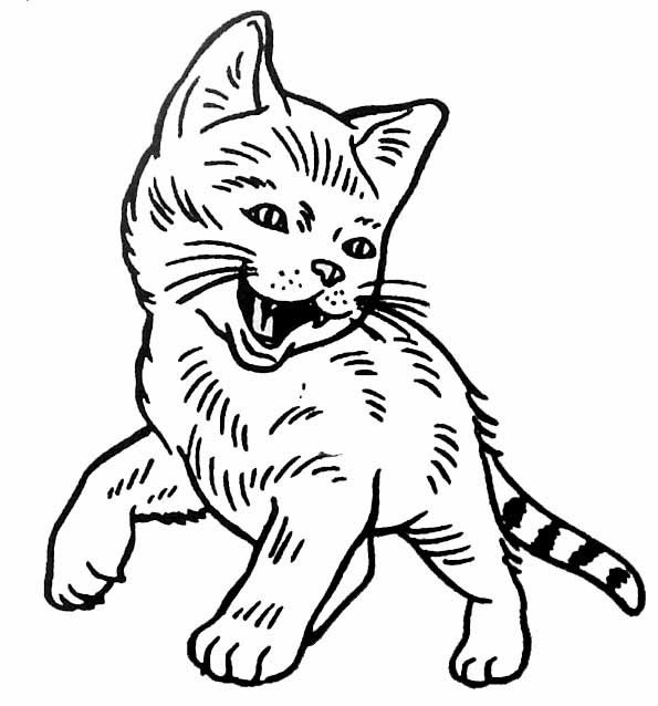 Coloring page: Cat (Animals) #1904 - Printable coloring pages