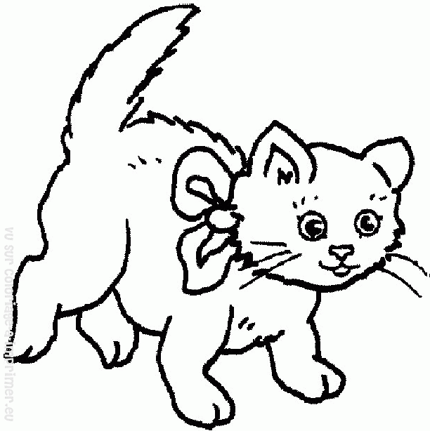 Coloring page: Cat (Animals) #1906 - Printable coloring pages