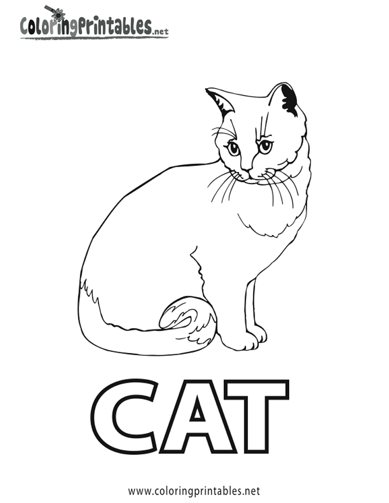Coloring page: Cat (Animals) #1916 - Free Printable Coloring Pages