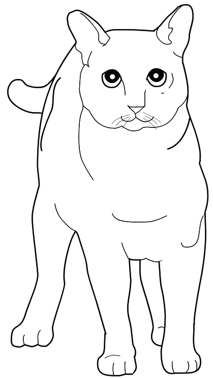 Coloring page: Cat (Animals) #1935 - Printable coloring pages