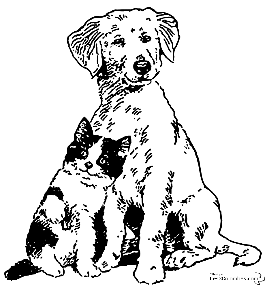 Coloring page: Cat (Animals) #1944 - Free Printable Coloring Pages