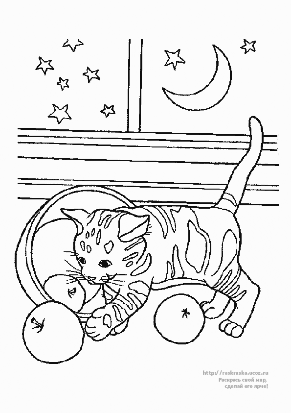 Coloring page: Cat (Animals) #1946 - Free Printable Coloring Pages