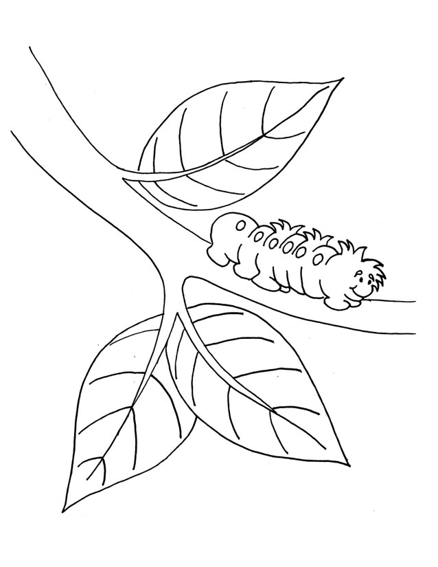 Coloring page: Caterpillar (Animals) #18245 - Printable coloring pages