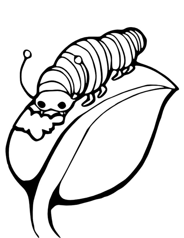 Coloring page: Caterpillar (Animals) #18250 - Printable coloring pages
