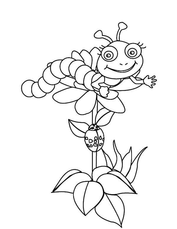 Coloring page: Caterpillar (Animals) #18296 - Free Printable Coloring Pages