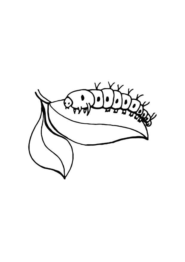Coloring page: Caterpillar (Animals) #18316 - Free Printable Coloring Pages
