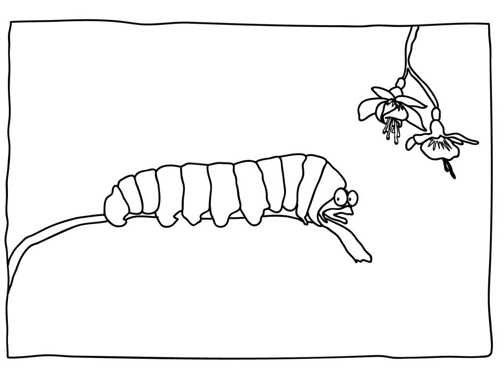 Coloring page: Caterpillar (Animals) #18363 - Printable coloring pages