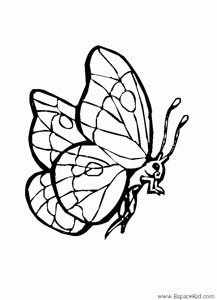 Coloring page: Caterpillar (Animals) #18385 - Free Printable Coloring Pages