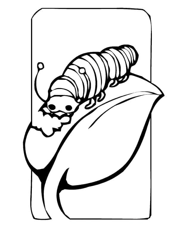 Free printable Caterpillar coloring page #210396 from Animals collection