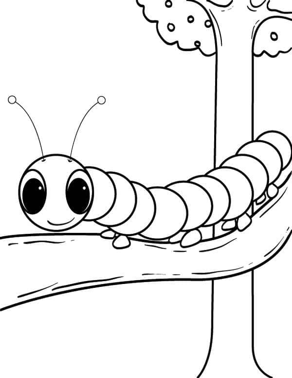 Free printable Caterpillar coloring page #210401 from Animals collection