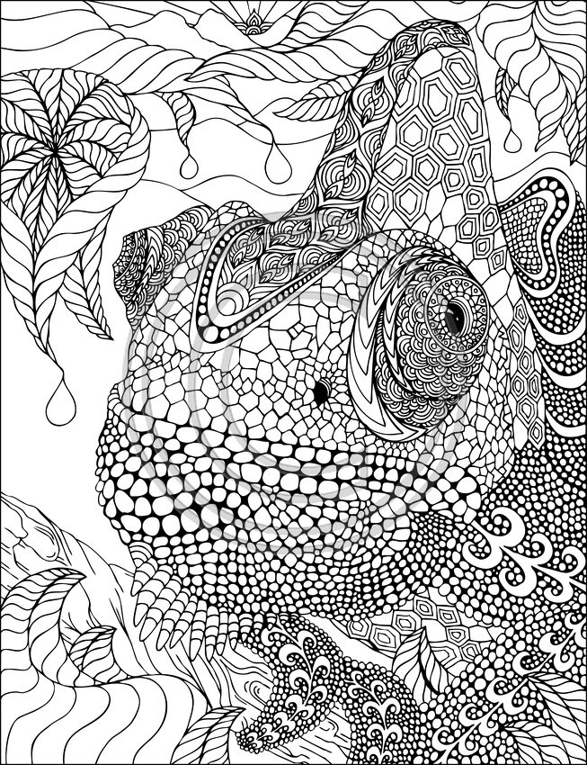 Coloring page: Chameleon (Animals) #1404 - Free Printable Coloring Pages
