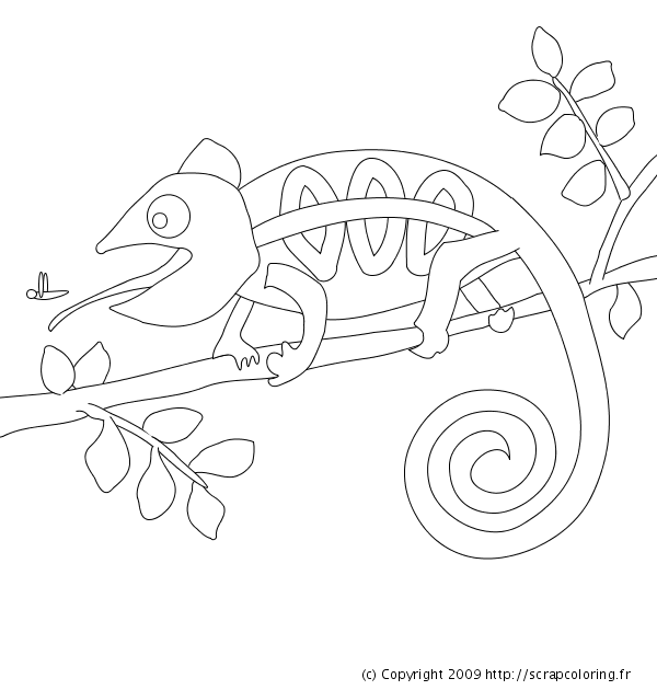 Coloring page: Chameleon (Animals) #1407 - Free Printable Coloring Pages