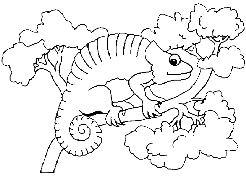 Coloring page: Chameleon (Animals) #1413 - Free Printable Coloring Pages