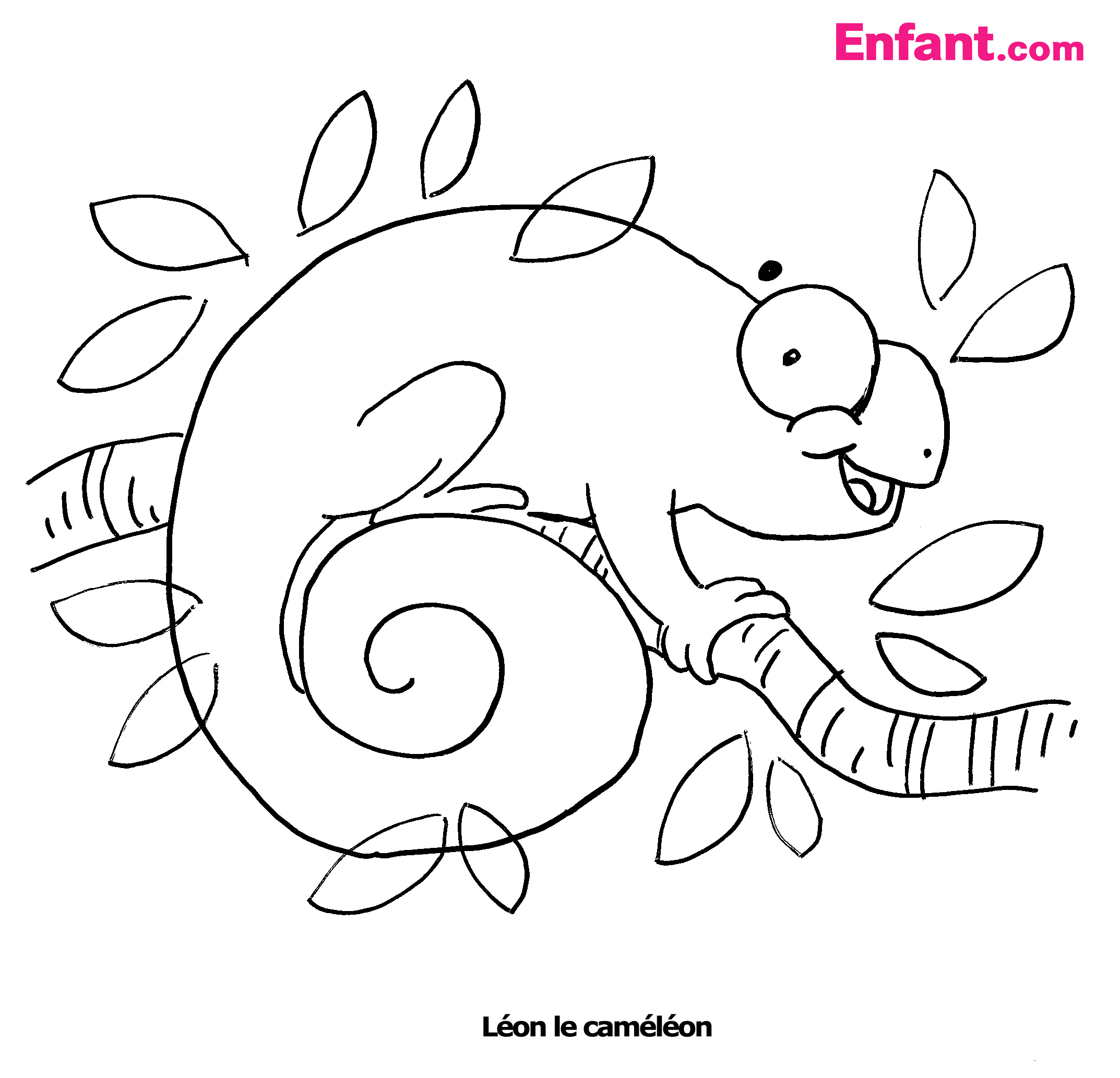 Coloring page: Chameleon (Animals) #1418 - Printable coloring pages
