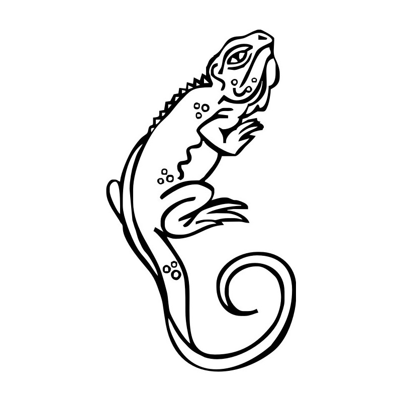 Coloring page: Chameleon (Animals) #1432 - Free Printable Coloring Pages