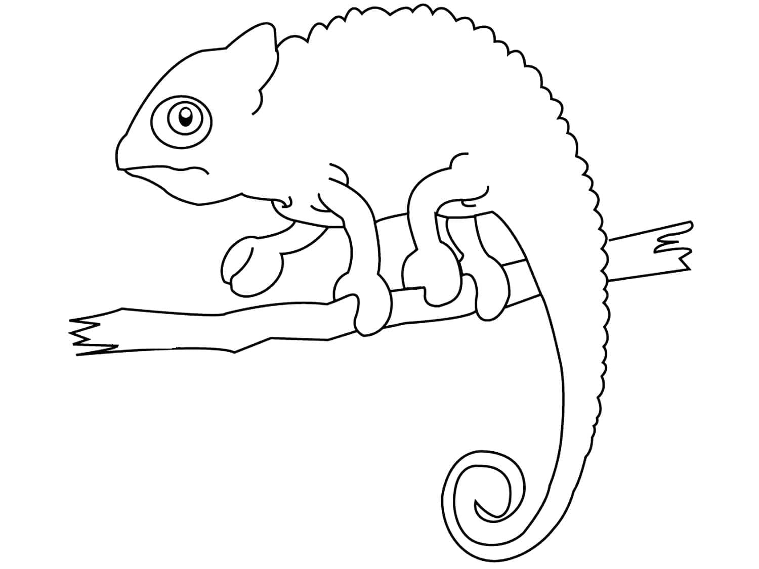 Free printable Chameleon coloring page #206719 from Animals collection