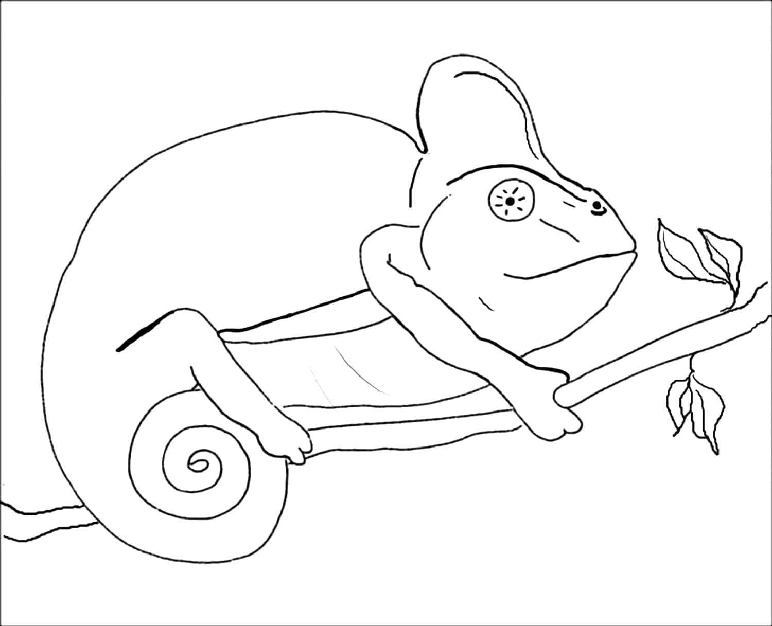 Free printable Chameleon coloring page #206722 from Animals collection