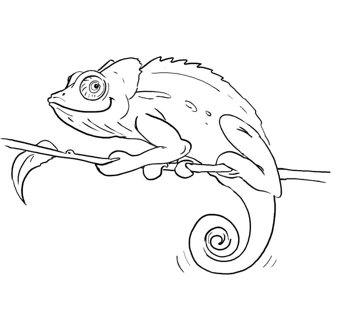 Free printable Chameleon coloring page #206725 from Animals collection