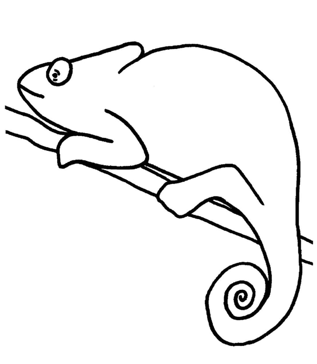 Free printable Chameleon coloring page #206743 from Animals collection