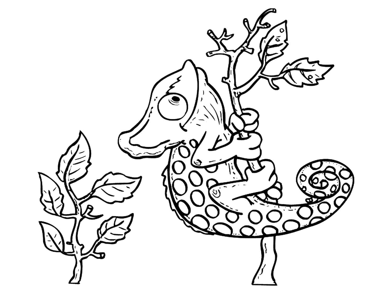 Free printable Chameleon coloring page #206752 from Animals collection