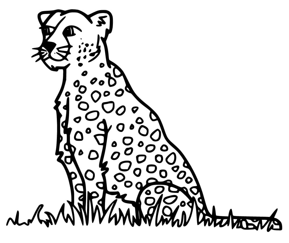 Free printable Cheetah coloring page #188878 from Animals collection Free printable Cheetah coloring page #188878 from Animals collection