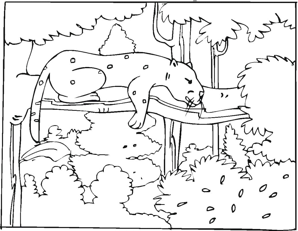Free printable Cheetah coloring page #188879 from Animals collection