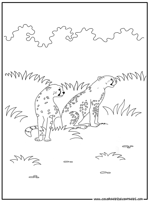 Coloring page: Cheetah (Animals) #7881 - Printable coloring pages